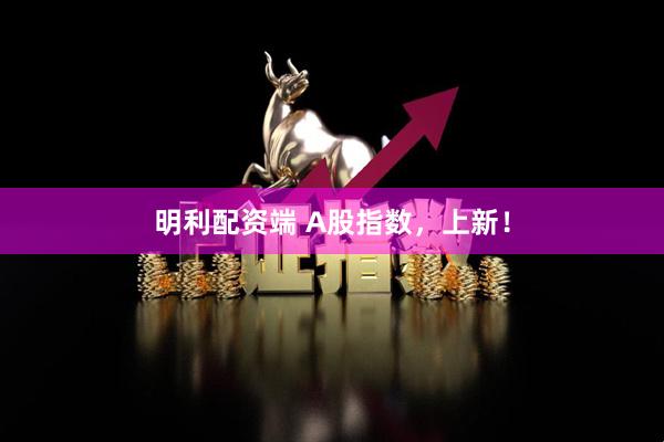 明利配资端 A股指数，上新！