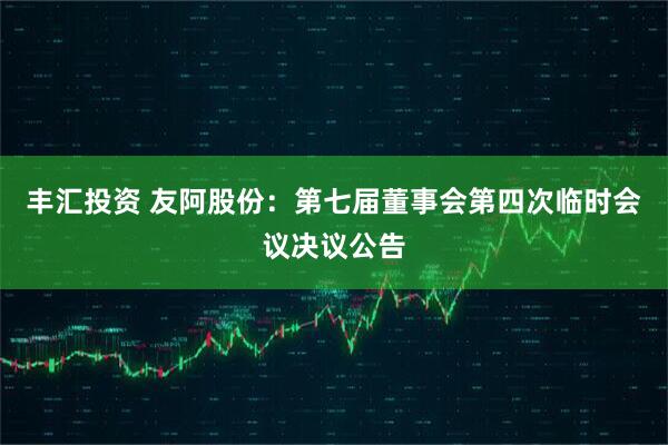 丰汇投资 友阿股份：第七届董事会第四次临时会议决议公告