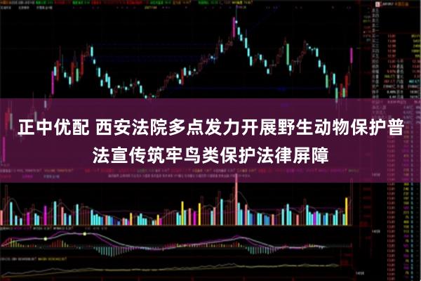 正中优配 西安法院多点发力开展野生动物保护普法宣传筑牢鸟类保护法律屏障