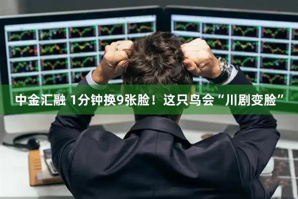 中金汇融 1分钟换9张脸！这只鸟会“川剧变脸”