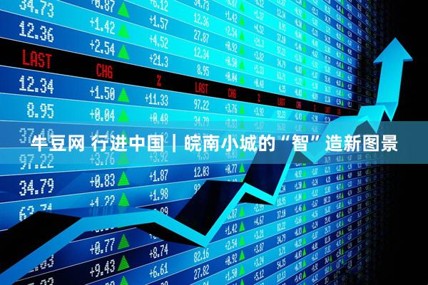 牛豆网 行进中国｜皖南小城的“智”造新图景