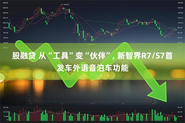 股融贷 从“工具”变“伙伴”, 新智界R7/S7首发车外语音泊车功能