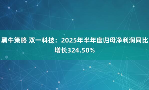 黑牛策略 双一科技：2025年半年度归母净利润同比增长324.50%
