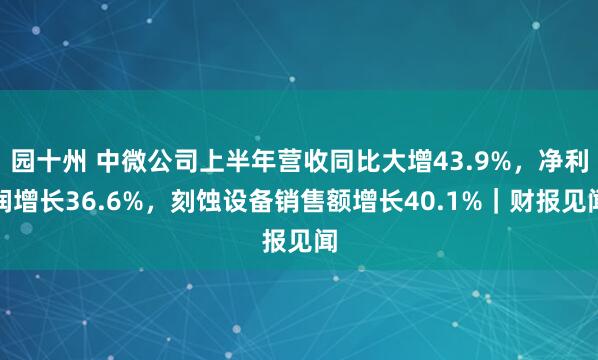 园十州 中微公司上半年营收同比大增43.9%，净利润增长36.6%，刻蚀设备销售额增长40.1%｜财报见闻
