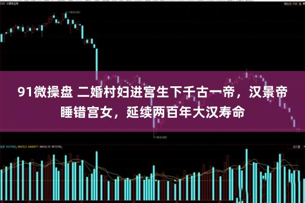 91微操盘 二婚村妇进宫生下千古一帝，汉景帝睡错宫女，延续两百年大汉寿命