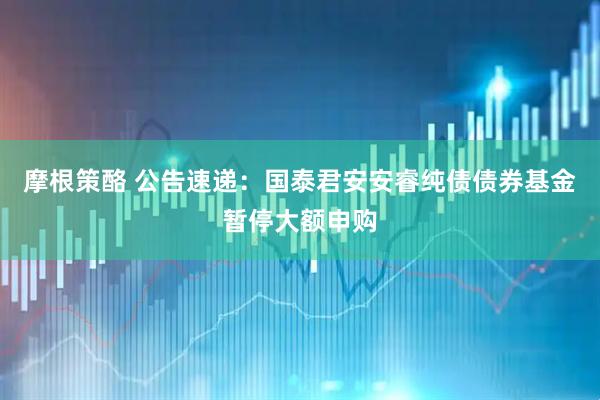 摩根策酪 公告速递：国泰君安安睿纯债债券基金暂停大额申购